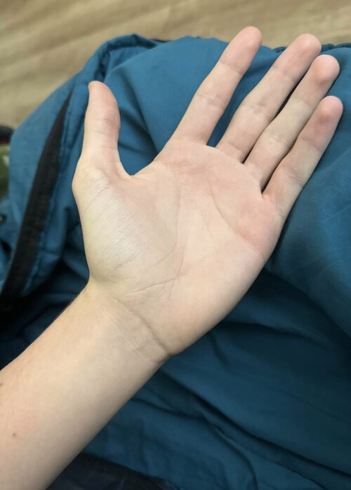 IMG 1734