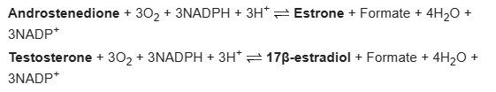 1704162002652