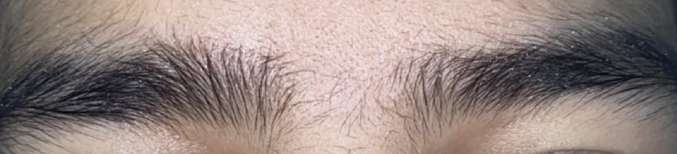 IMG 0738