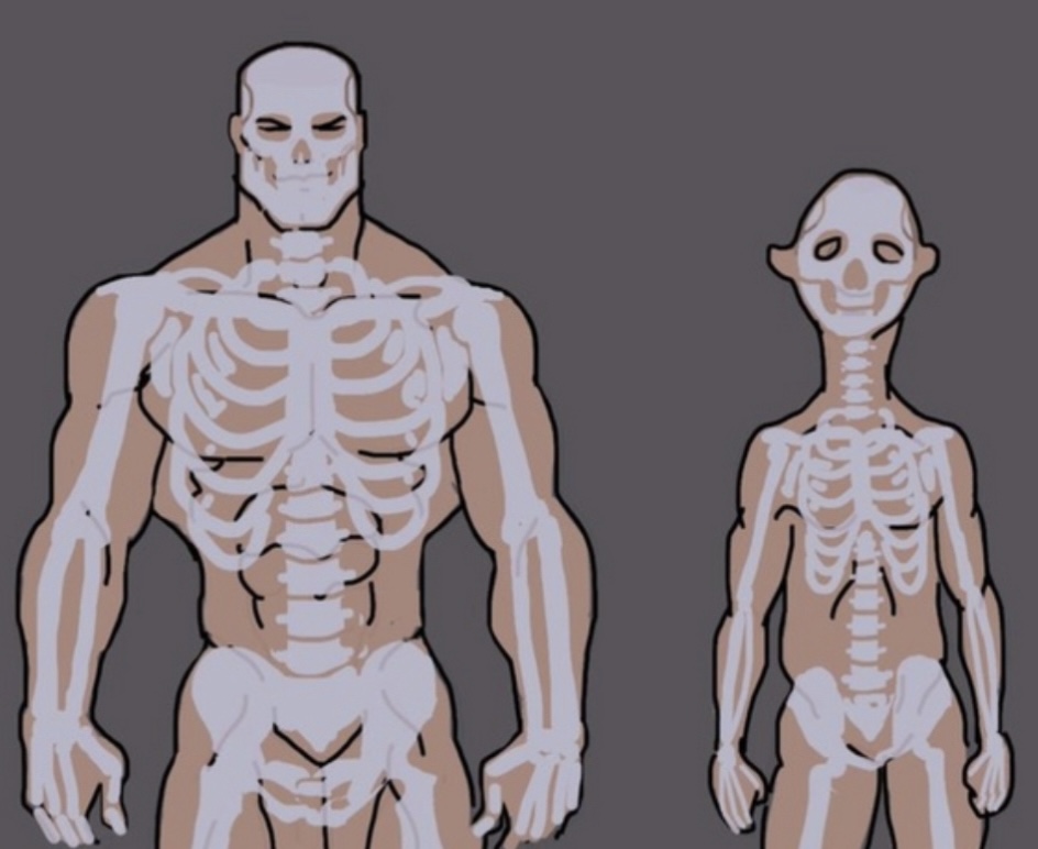 Chad vs Incel Skeletton 