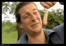 Bear grylls eats