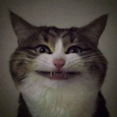 1704355093124
