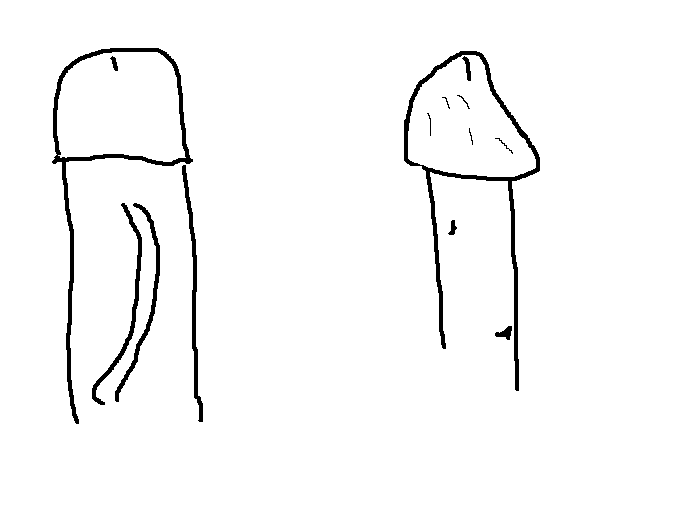 1704490632351