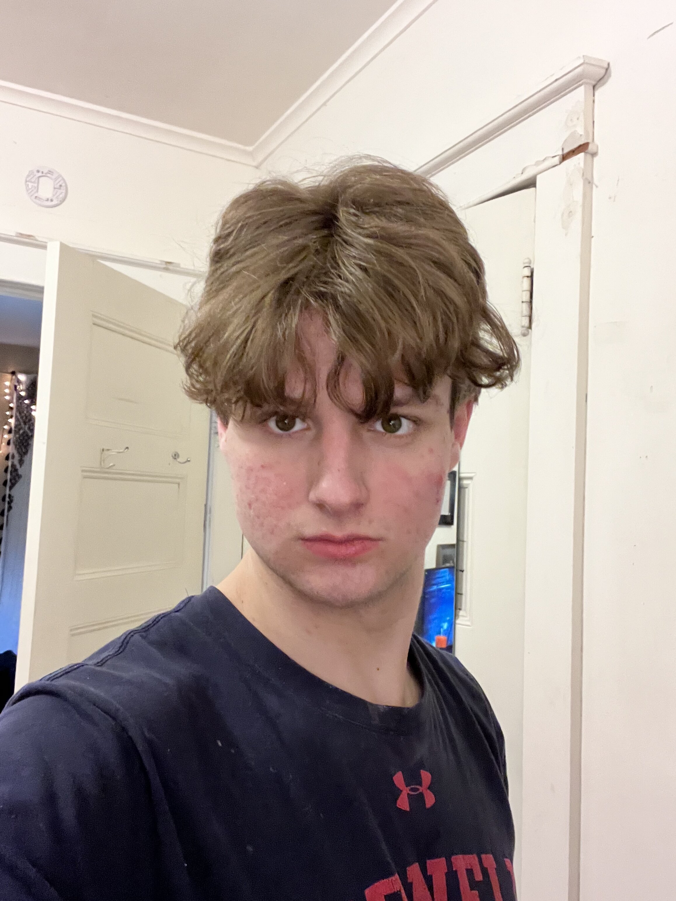 IMG 2701