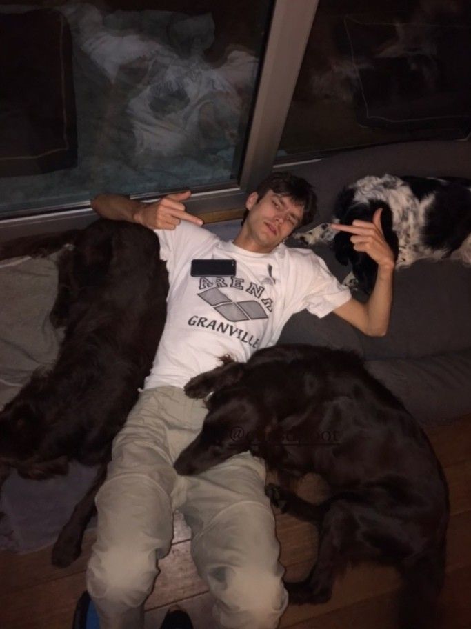 Dogs