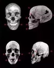 1704729278061