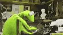 GIFs 2024183265