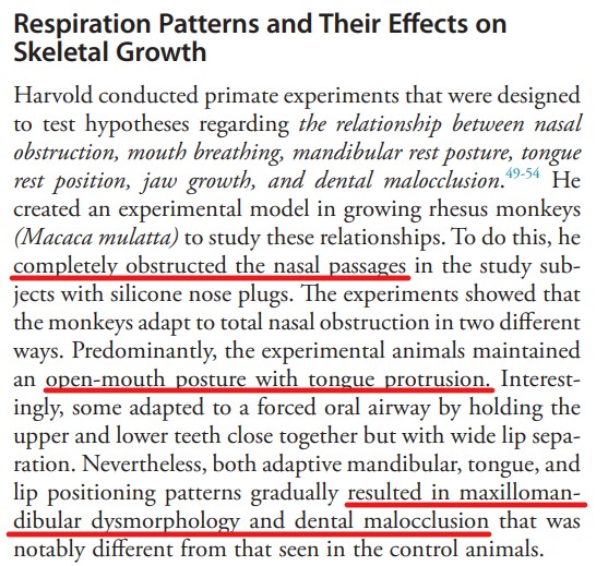 Posnick Monkey comment 1