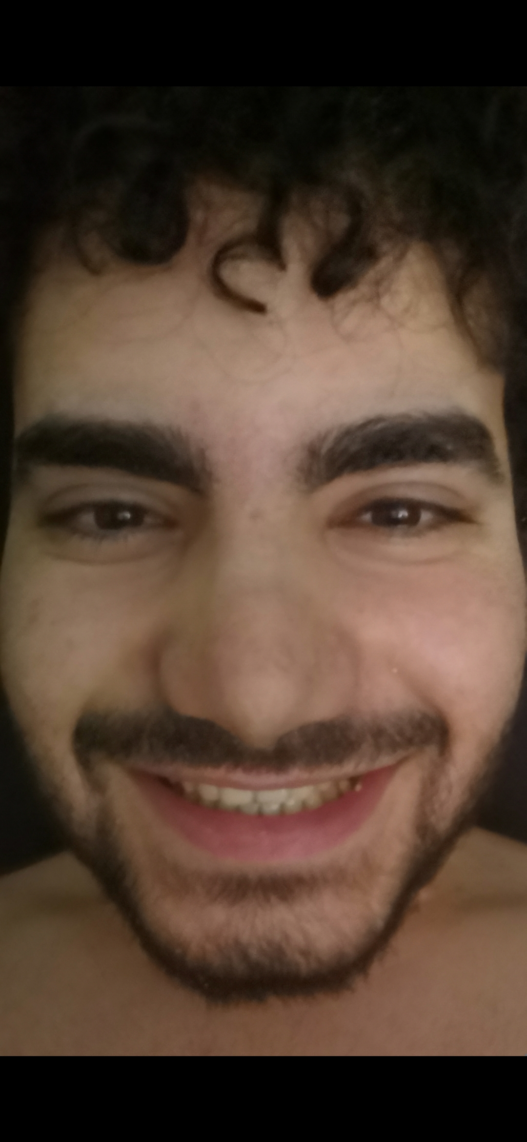 Funkyflamingo2