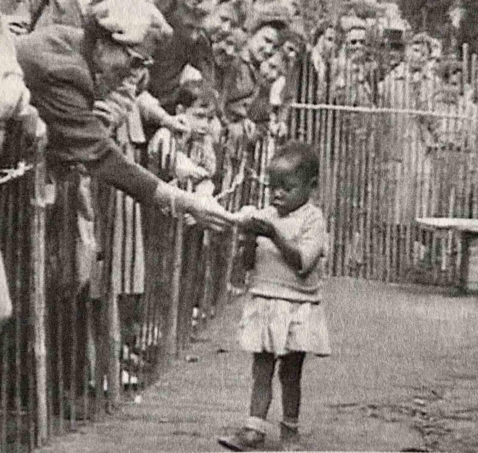 Human zoo pictures 2
