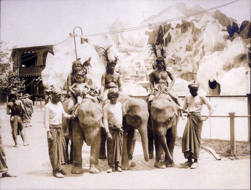 Igorrotes at Hagenbecks