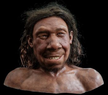 Neanderthaler Krijn min 350x308