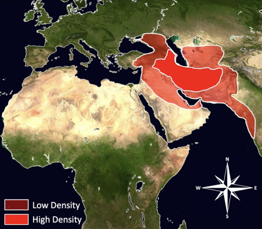 Screen Shot 2024 01 13 at 90840 pm