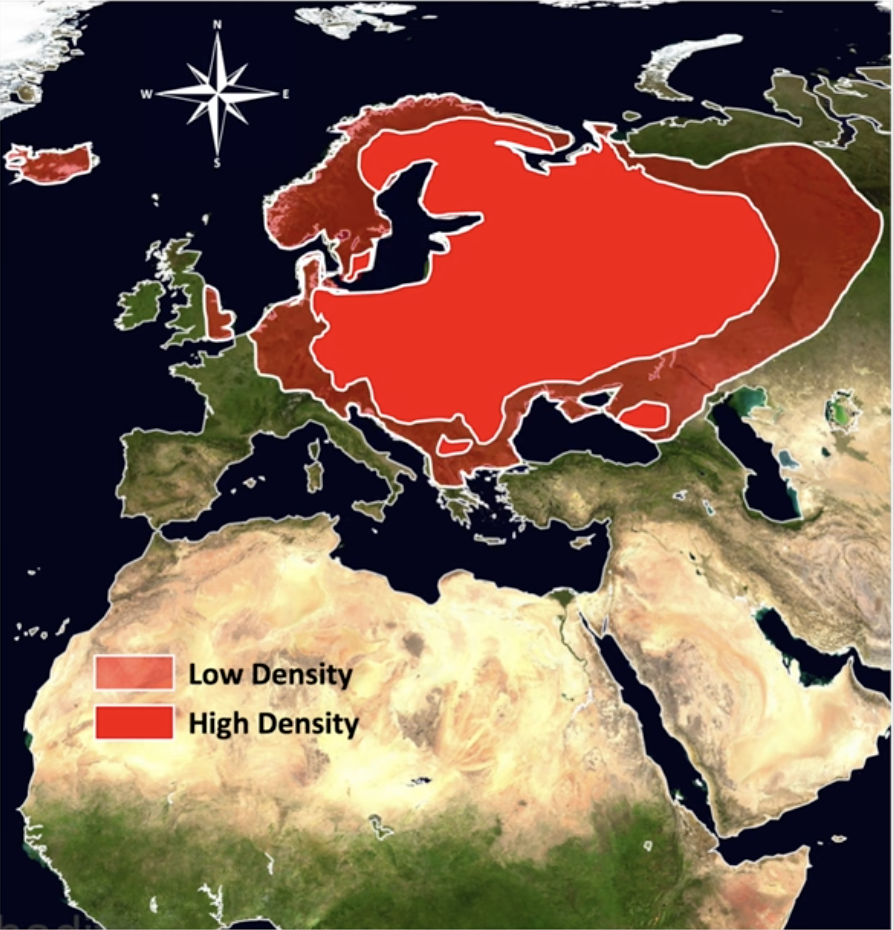 Screen Shot 2024 01 13 at 94049 pm