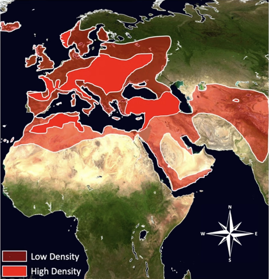 Screen Shot 2024 01 13 at 95212 pm