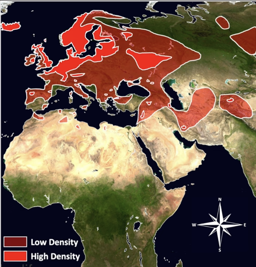 Screen Shot 2024 01 13 at 95705 pm