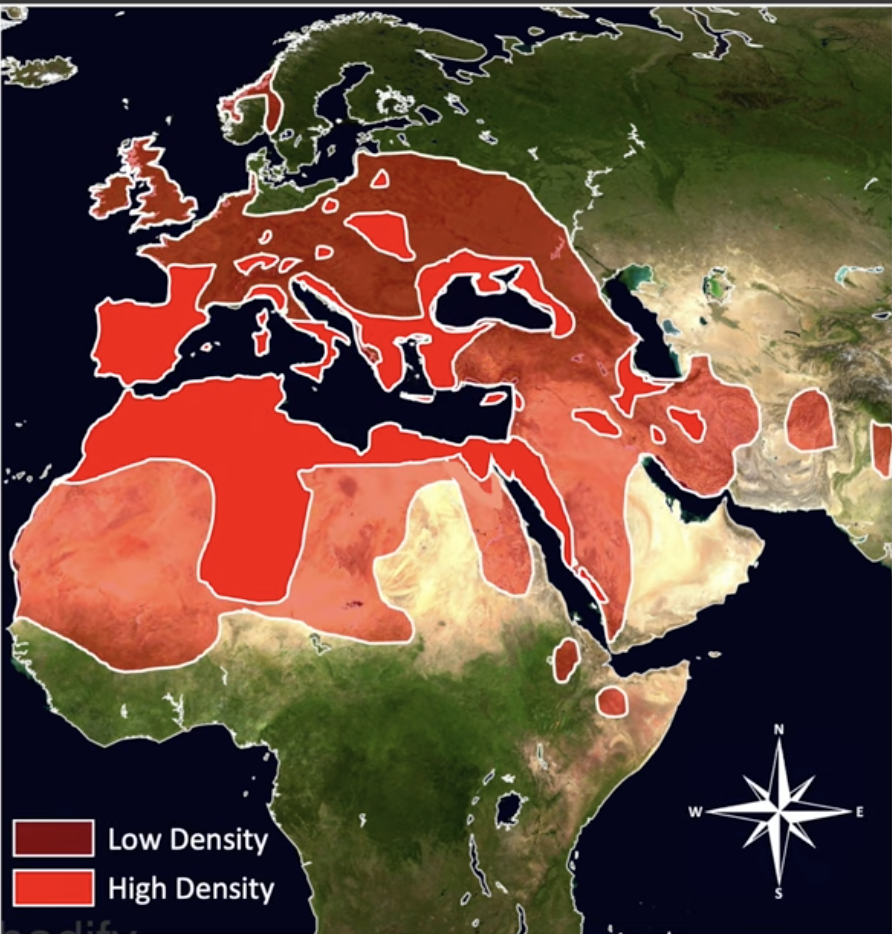 Screen Shot 2024 01 13 at 101347 pm