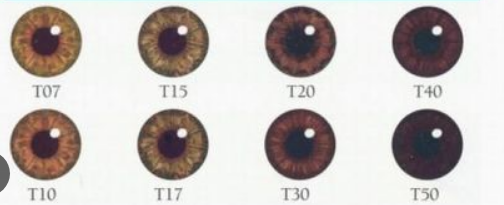 1705269589134