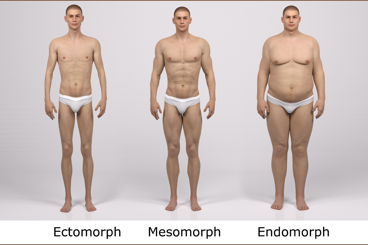 Male body types
