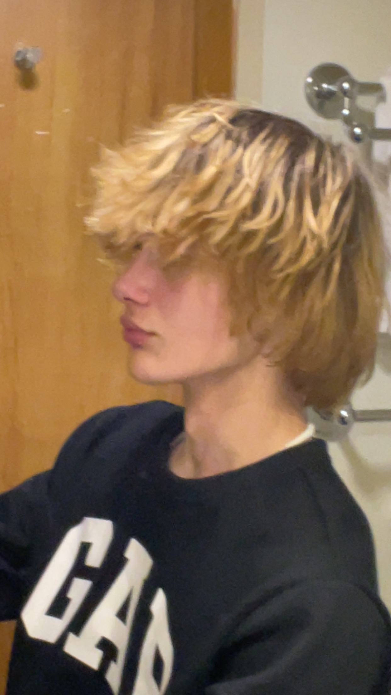 IMG 1568