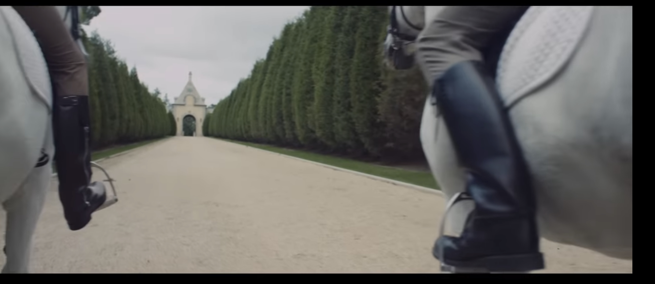 4D9853EC B5C7 4F8D 8B78 F39421767C96