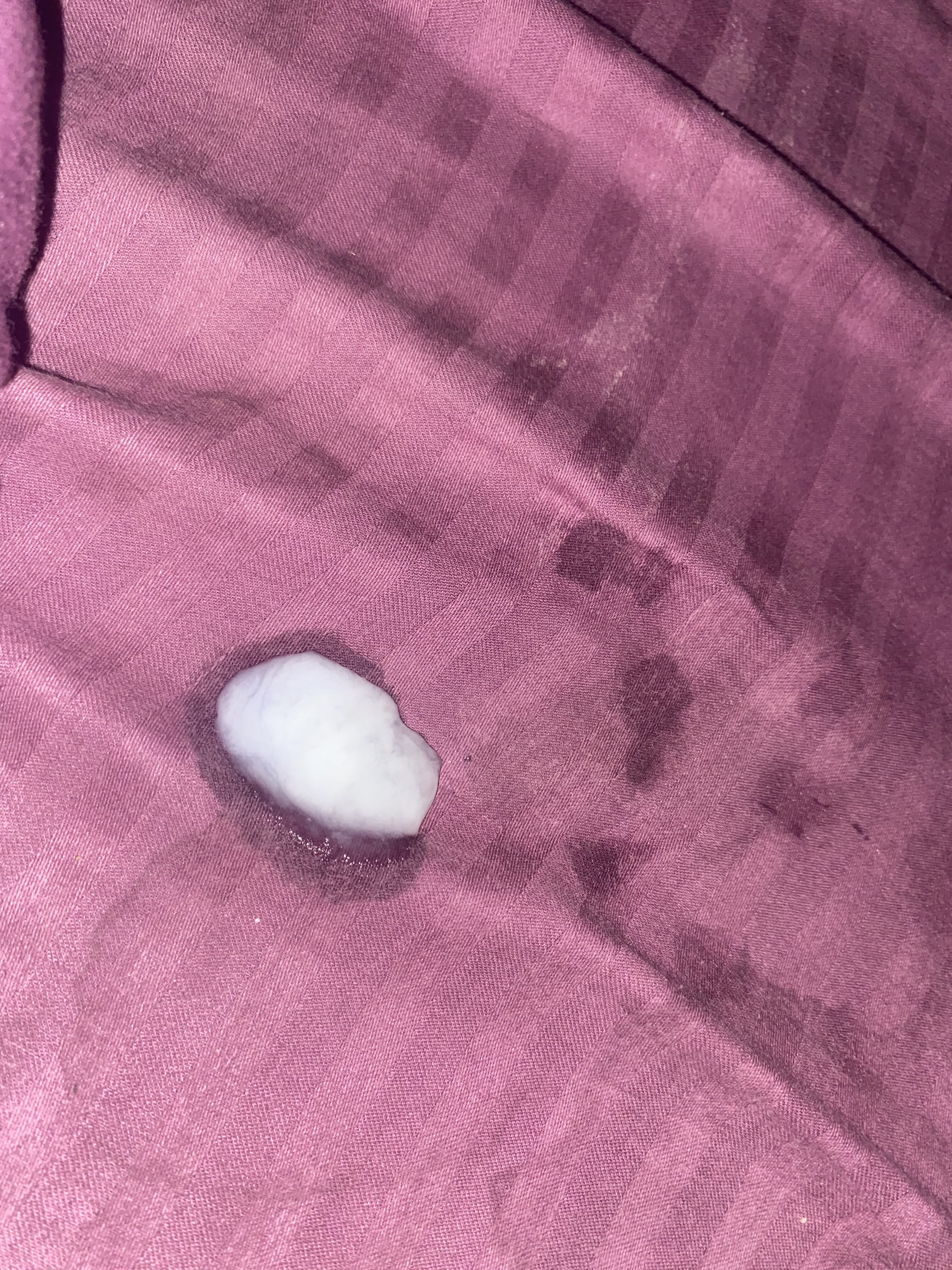 66D09862 AD63 4A25 839E 6CBB2D68C318