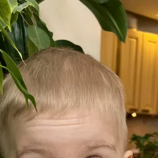 1705509039824