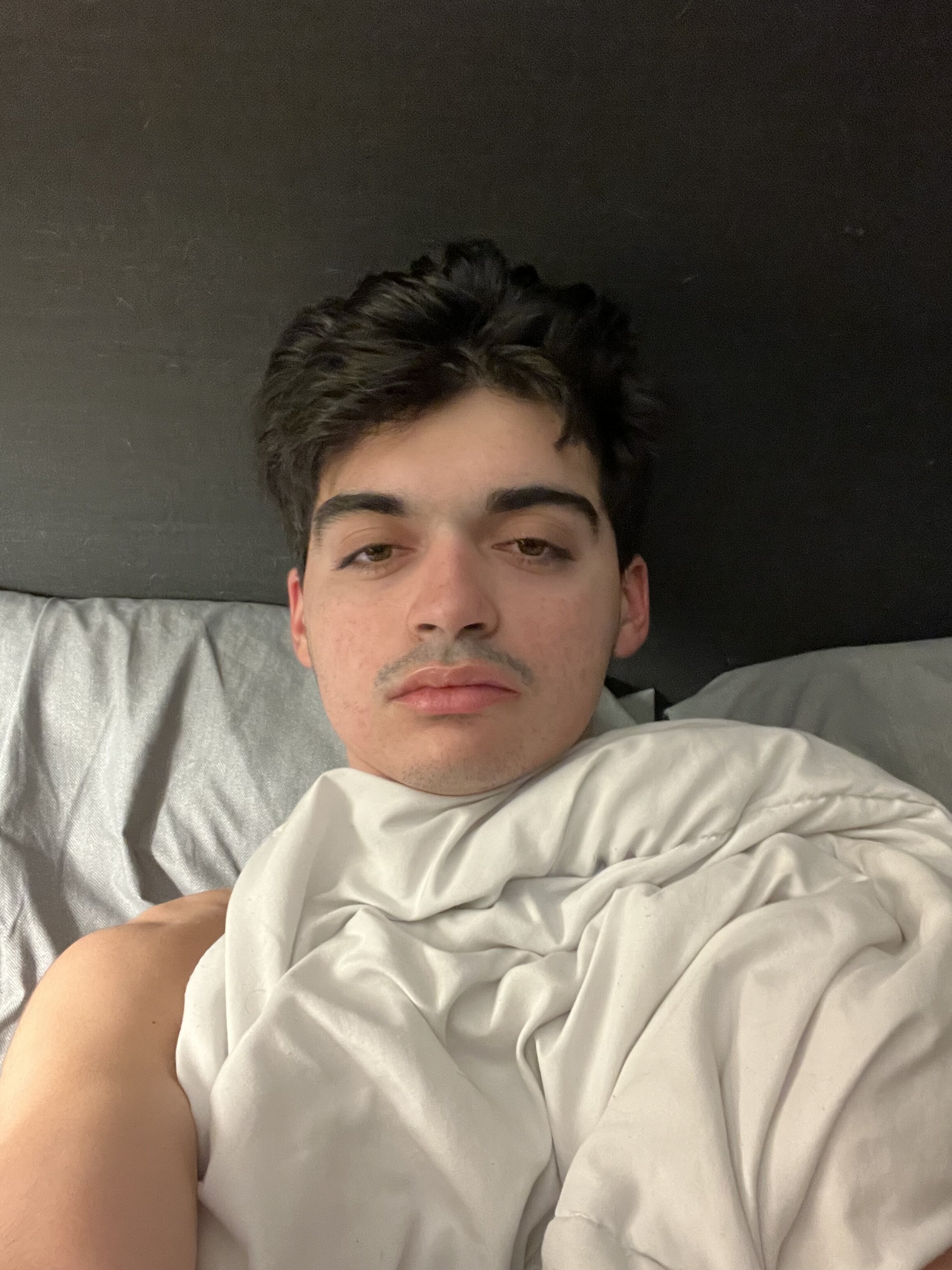 IMG 2564