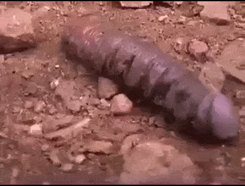 1705570236014
