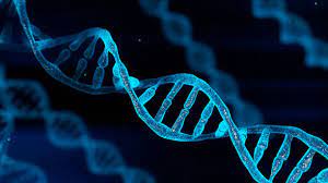Gene Art