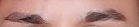 1705613294308