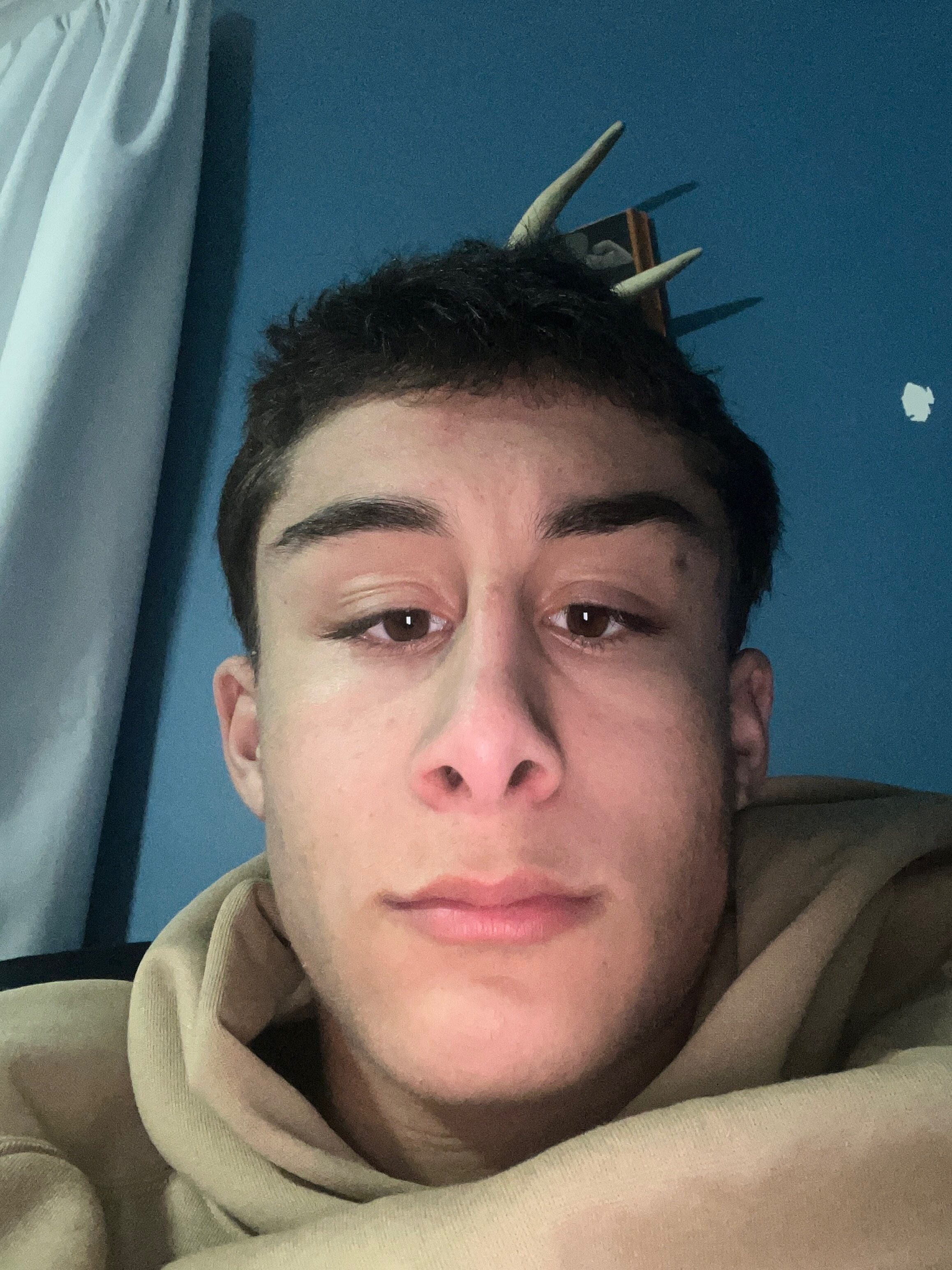 D78D03CE 3DBE 4060 8C74 8ED7B1C49D24