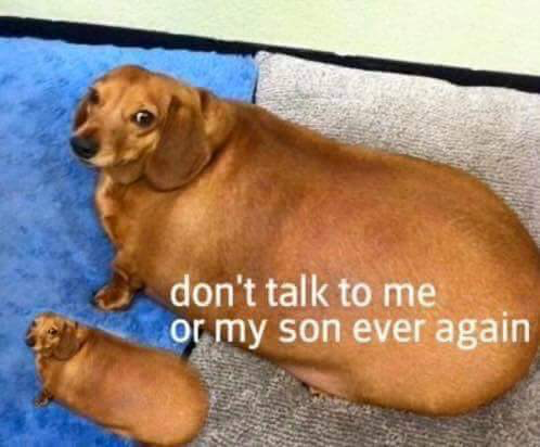 1705747442191