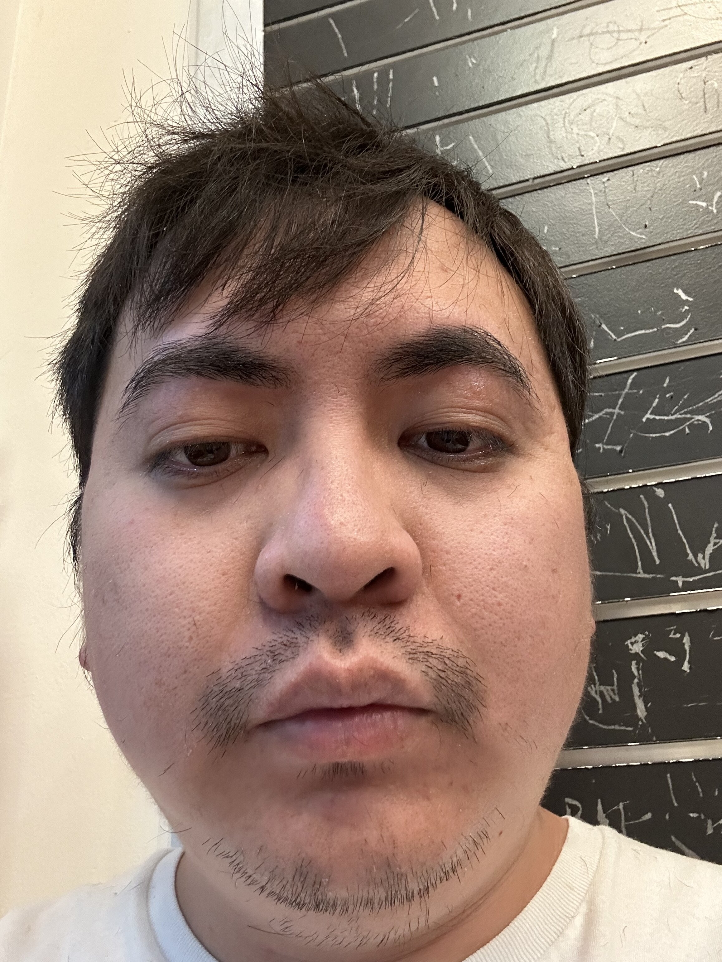 IMG 1203