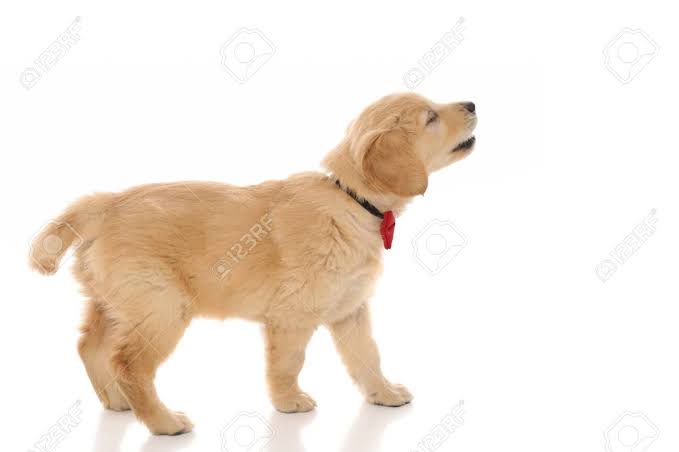 1706095910342