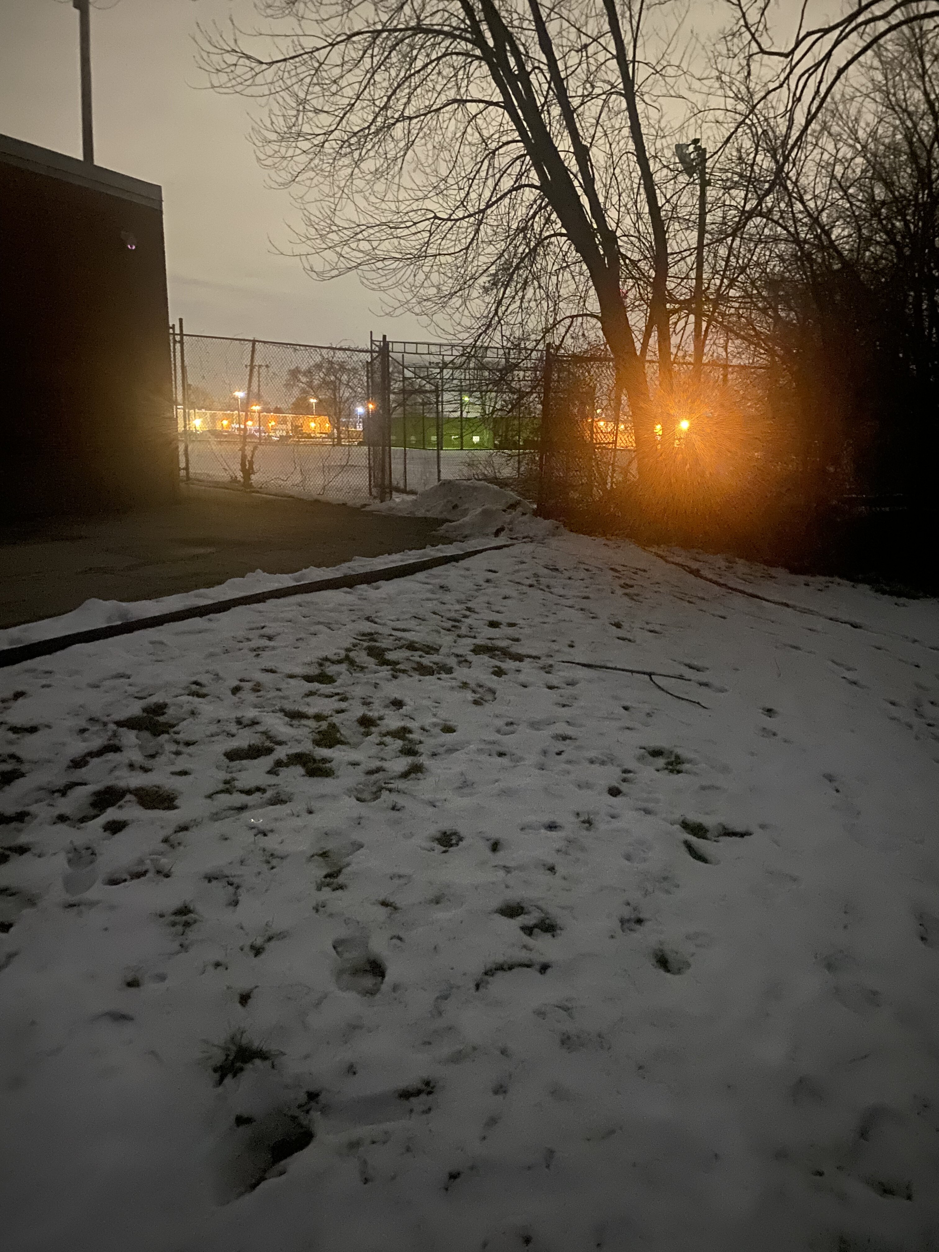 2F9682FC 5DDA 45C2 AE29 978290048700