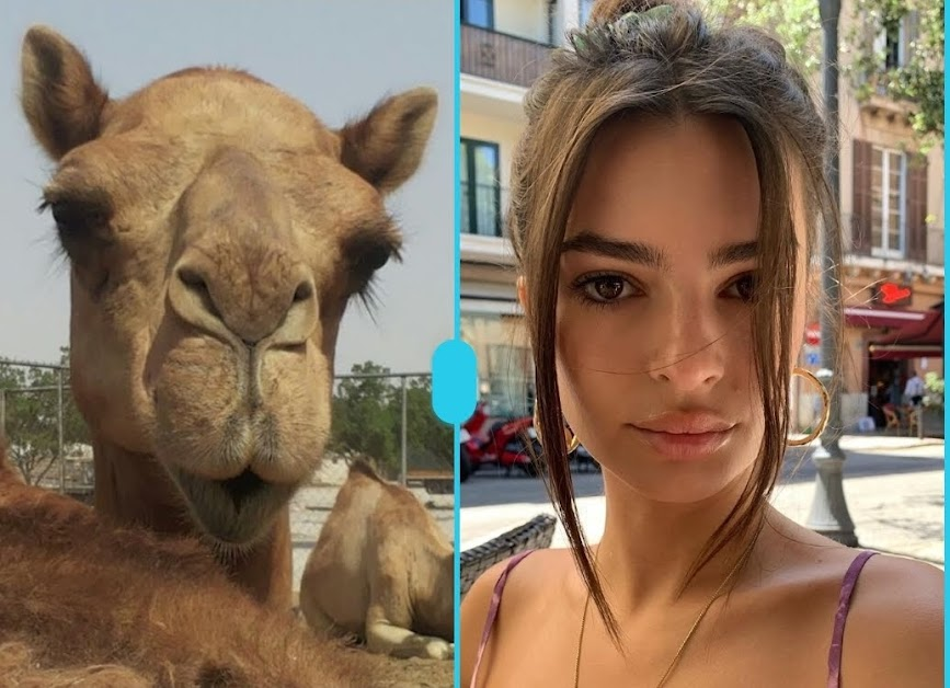 Emily Ratajkowski is my queen | Looksmax.org - Men's Self-Improvement ...