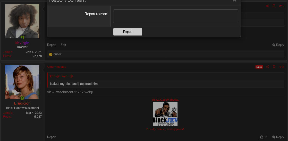 Screenshot 2024 01 25 at 15 04 20 why is beaststimmung banned