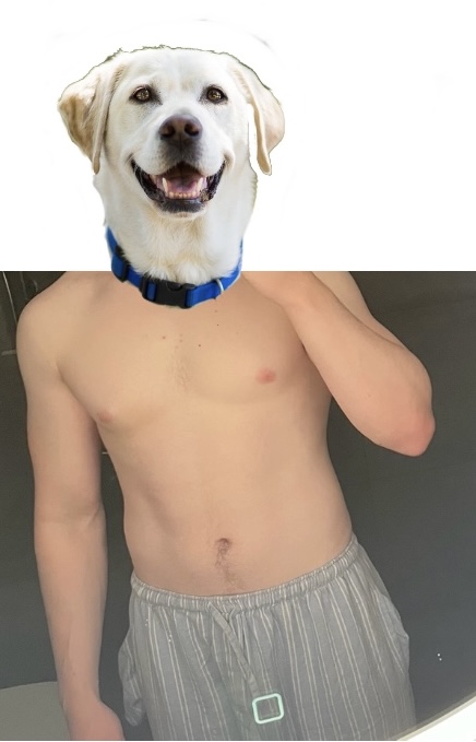 1706226286470