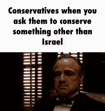 Conservatives when you ask them to conserve something other than israel   that i cannot do   G