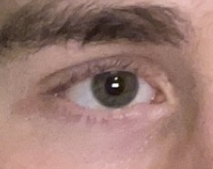 IMG 1874