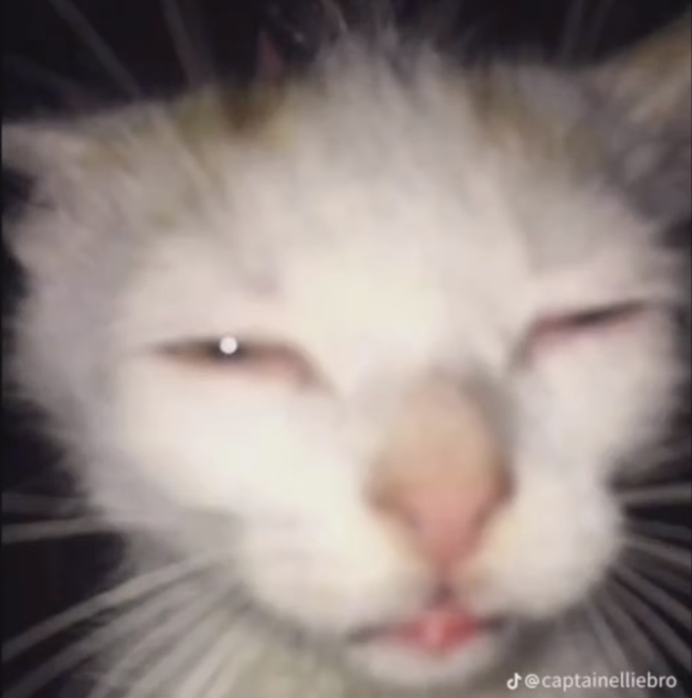 1706372359545