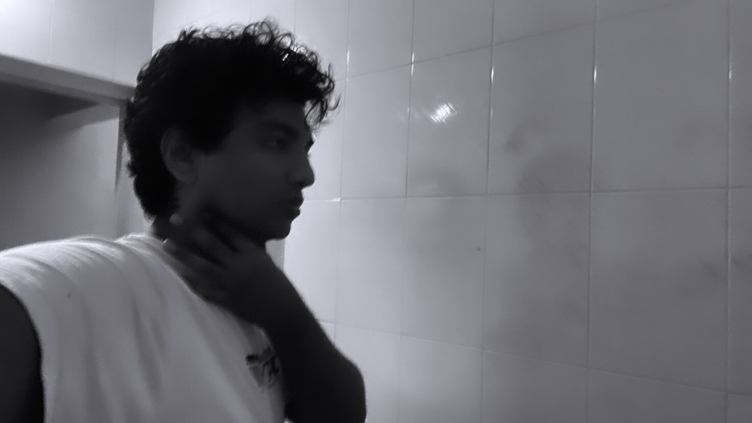 3832176 brahminbossII