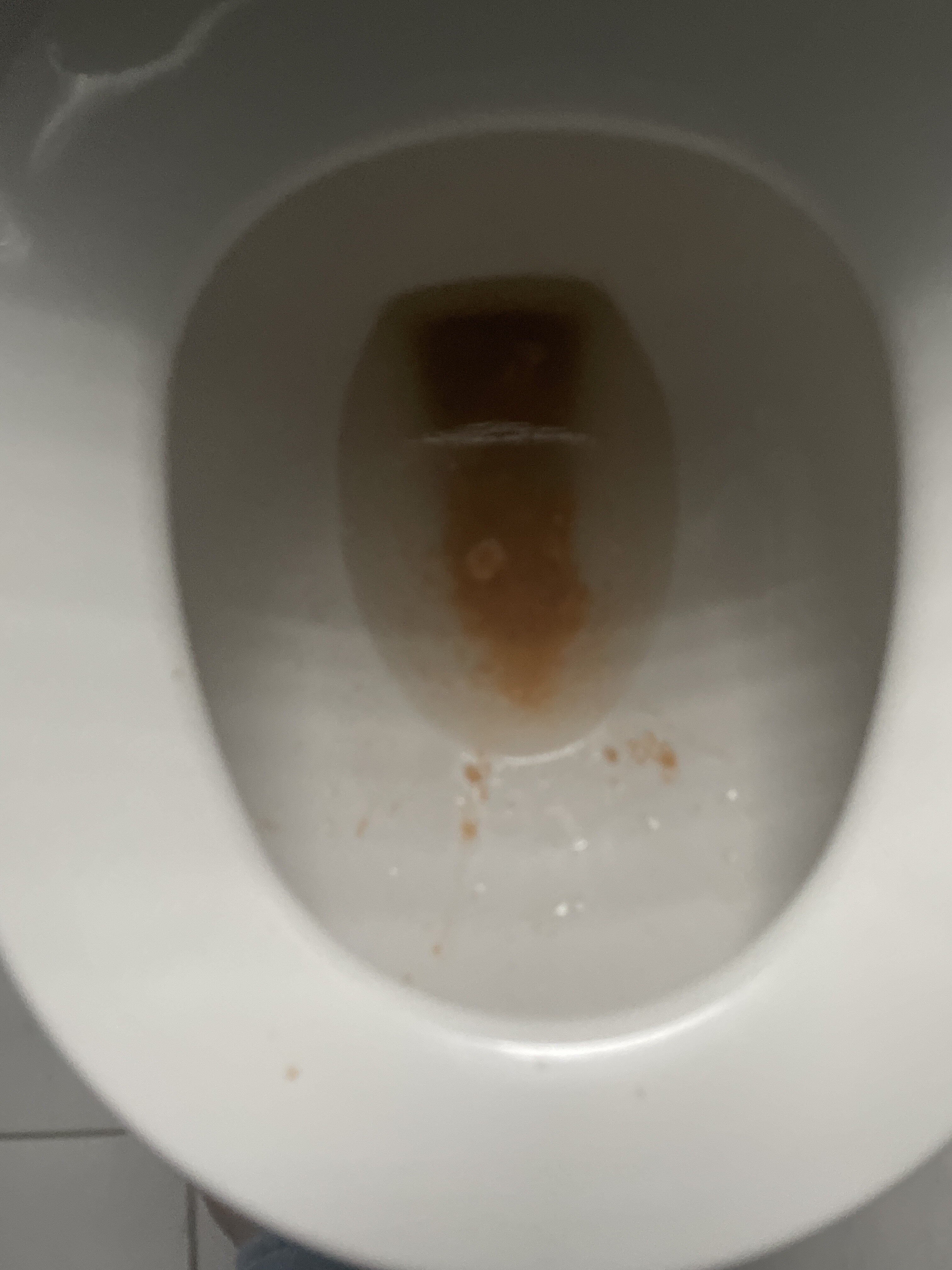 IMG 1590