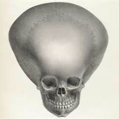 1706508232760