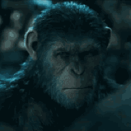 1706564914539
