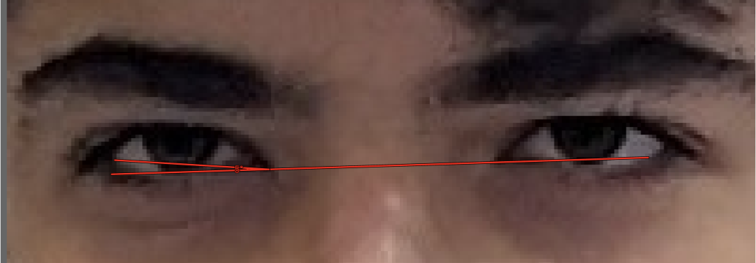 1000007679