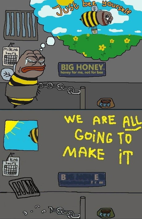 1703525273567416.jpg