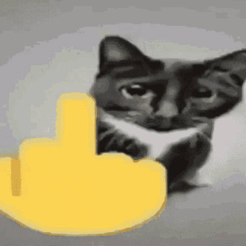 Mean cat cat