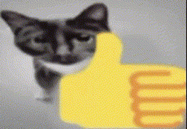 Cat thumbs up cat